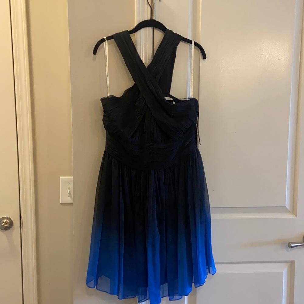 Ombré Halston Designer Dress.